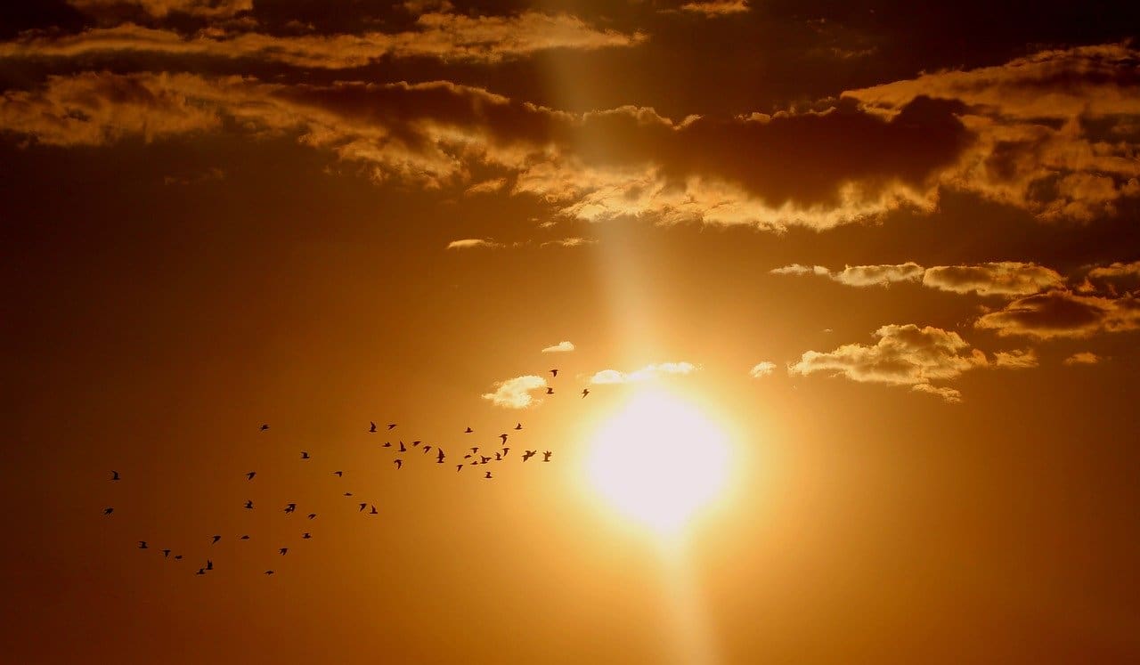 Now is the time to invest in Solar PV